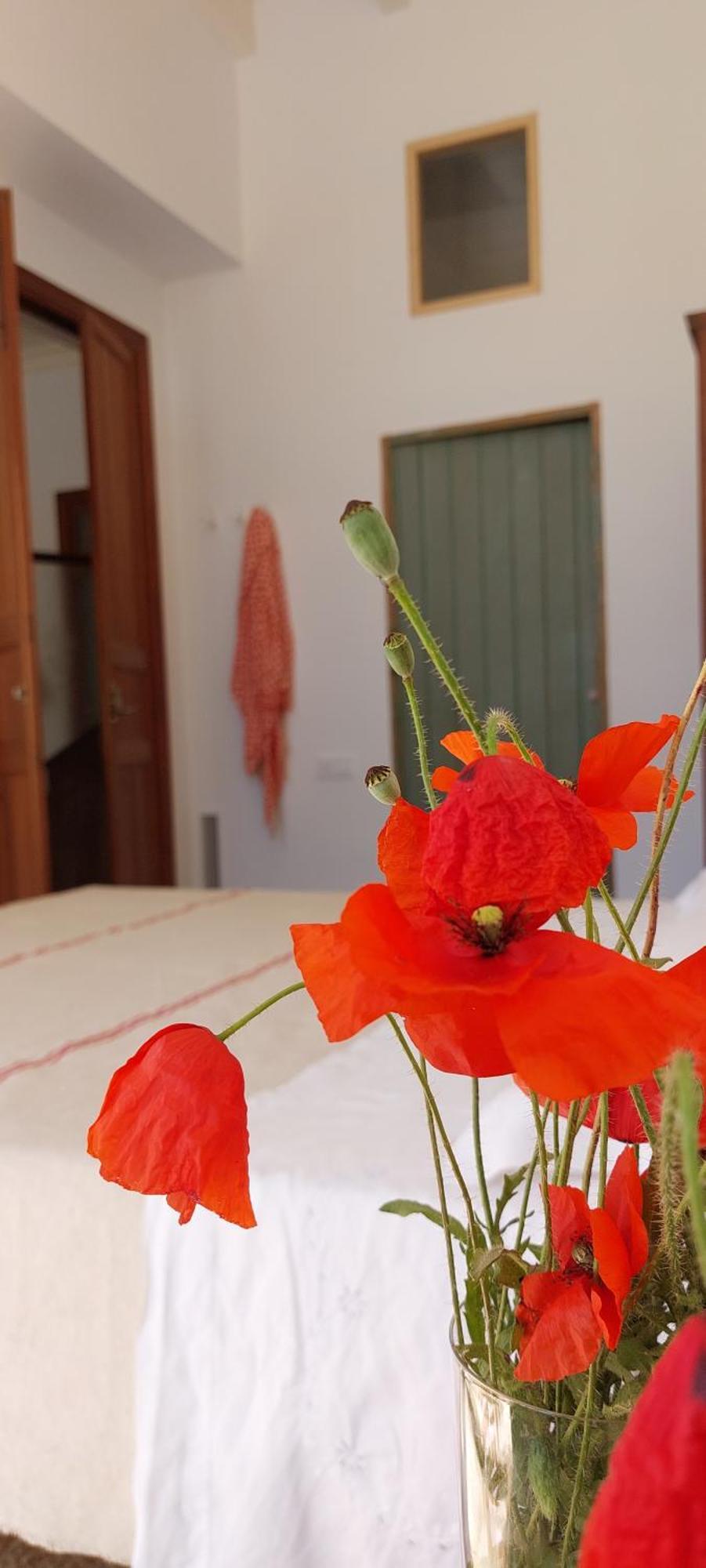 Idayvuelta Home & Suites With Private Pool Сес Салинес Екстериор снимка